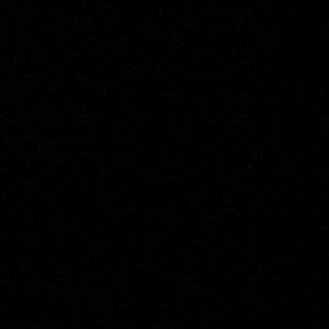 Meet your Posher, Sophie